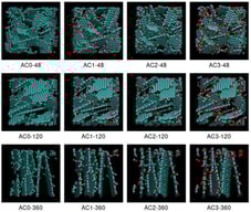 Structural representation of the simulated activated carbon models. The basic structural units (BSUs) vary in size (48, 120, 360 atoms) and surface functionalization (AC0: pristine, AC1: phenolic, AC2: carbonyl, AC3: carboxyl).