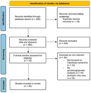 Article selection flowchart according to PRISMA statements.