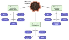 The diagram illustrates the major groups of melanocyte differentiation antigens (MDAs), cancer-testis antigens (CTAs) and cell membrane-associated proteins. MDAs include tyrosinase, tyrosinase-related proteins TRP-1 and TRP-2, Melan-A/MART-1 antigen, glycoprotein 75 (gp75), and glycoprotein 100 (gp100). Cell membrane-associated proteins include integrins, immunoglobulin superfamily molecules, melanotransferrin (MTf), S100 protein, and chondroitin sulfate proteoglycan (MCSP). The CTA group includes MAGE, GAGE, BABe, and NY-ESO-.Created in BioRender. Plewa, P. (2025). https://BioRender.com/yefsodp (accessed on 19 November 2025).