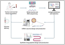 Diagrammatic representation of the mRNA and SLP vaccine manufacturing process. Figure created using Biorender®.