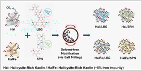 SEM images of raw and LBG/SPN modified Hal and HalFe samples.