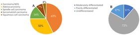 Summary of pathological assessment. The percentage of patient tumours with different pathological types (A) and tumour pathological grades (B) are depicted. N = 23 patients for each panel.
