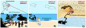 Three spilled oils collected as: (A) oil reaching the beaches of Pernambuco state in September 2019; (B) the oil reappeared on the beaches in January 2021; and (C) spilled oil that remained on the ground for 1 year and 7 months collected in April 2021. Sample coordinates: SO: 8°18′56″  S; 34°56′51″ W; SA: 8°30′87.4″ S; 34°94′55.2″ W, and ST: 8°17′55.1″ S; 34°57′11.6″ W.