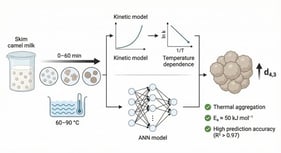 The particle size distributions of skim camel milk during isothermal heating at 60, 70, 80, and 90 °C at different time intervals.