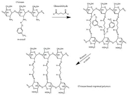 Schematic illustration of the steps for the synthesis of chitosan-based imprinted polymers.