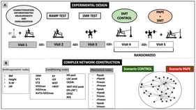 Panel (A). Experimental design timeline showing the five visits made by the participants. 3MT = 3 min all-out tethered running test; CONTROL = no conditioning activity before 3MT; PAPE = post-activation potentiation enhancement by conditioning activity before 3MT; 1RM = one maximal repetition test. Panel (B). Scenarios for constructing the complex networks and complex network nodes used in these two scenarios. Legend: BM = body mass, Height = height, % BF = % of body fat, LM = lean mass, 1RM = one maximal repetition, VT1 = ventilatory threshold 1, VT2 = ventilatory threshold 2, VO2max = maximum oxygen uptake, iVO2max = intensity corresponding to maximum oxygen uptake, %VT2-iVO2max = percentage of ventilatory threshold 2 corresponding to iVO2max, EP = end power, rEP = end power relativized by body mass, WEP = work above end power, rWEP = work above end power relativized by body mass, HR post = post-test heart rate, CK24h = 24 h post-test creatine kinase, [Lac peak] = post-test peak lactate concentration, 3MT VO2peak = peak of oxygen consumption during 3MT, EPc = mean oxygen consumption during EP, EPOC = excess post exercise oxygen consumption, RPE = rating-of-perceived-exertion, Ppeak = peak output power, rPpeak = peak output power relativized by body mass, Pmean = mean output power, rPmean = mean output power relativized by body mass, Fpeak = peak force, rFpeak = peak force relativized by body mass, Fmean = mean force, rFmean = mean force relativized by body mass, Vpeak = peak velocity, and Vmean = mean velocity.