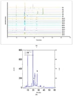 HPLC chromatograms (linear concentration gradient 5–100% of methanol in 60 min, at 320 nm) of studied Stachys and Betonica methanolic extracts. (a) Summary chromatograms for sixteen Stachys and Betonica species presented in 3D projection (abbreviations as in Table 1), (b) Example chromatogram of S. macrantha (ch—chlorogenic acid, r—rutin, q—quercetin).