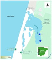 Study area map, Reserva Natural das Lagoas de Santo André e Sancha (38°6′ N, 8°48′ W), located on the southwestern coast of Portugal (ICNF—Instituto da Conservação da Natureza e das Florestas). The blue stars represent the ringing points, where mist nets were used.