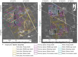 Satellite imagery from 1970 (three years after salvage logging) with sample plot (initially established in 1977) locations marked by dots. The districts are color-coded to indicate dominant species and age classes as of 2025. Transects were established in sites where salvage logging was carried out and which currently correspond to young or middle-aged stands.