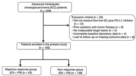 Flowchart of patient selection and overall treatment response. Flowchart summarizing patient selection and treatment response in the study cohort. A total of 228 patients with advanced intrahepatic cholangiocarcinoma (ICC) were screened for eligibility. Patients who did not receive first-line gemcitabine–cisplatin (GC) plus a PD-L1 inhibitor, had prior systemic anti-tumor therapy, lacked measurable target lesions, or had incomplete baseline or outcome data were excluded. Finally, 193 patients were included in the analysis. Among them, 55 achieved complete or partial response (CR/PR) and 138 had stable or progressive disease (SD/PD), yielding an overall objective response rate (ORR) of 28.5%. Abbreviations: ICC, intrahepatic cholangiocarcinoma; GC, gemcitabine–cisplatin; PD-L1, programmed death-ligand 1; CR, complete response; PR, partial response; SD, stable disease; PD, progressive disease.