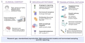 Clinical characteristics of JNA. JNA is commonly found in the pterygopalatine fossa, and the tumor typically has a lobulated appearance, usually causing nasal obstruction and rhinorrhagia.