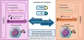 Cytotoxicity of SP (a,c) and LRAP (b,d) peptides (1, 5, 10, 50, and 100 ng/mL) evaluated on hDPSCs and hBMSCs with MTT assay after 48 h (n = 3). * p < 0.05, ** p < 0.01, **** p < 0.0001.