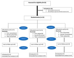 Flow diagram showing the participant enrollment, with the number of participants randomized, allocated to each study set, and dropouts. n—number.