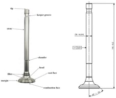 Physical model showing characteristics examined in article.