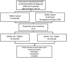 Diagram of patients identified and analyzed.