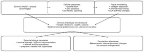 Proposed pathophysiological model of “acromegalic uteropathy” with preferential cervical stromal expansion.