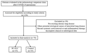 Study flow diagram of patient selection and group allocation. PC-FLC: Post-COVID fibrotic-like lung changes; Control: No fibrotic CT abnormalities.