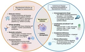 Bidirectional relationship between mycobacterial infection and autoimmunity. Mycobacterial infections may initiate autoimmune disease through molecular mimicry, bystander activation, and chronic immune stimulation, leading to loss of tolerance and autoantibody formation (left, red). Conversely, autoimmune diseases and their immunosuppressive treatments weaken host defenses, promoting M. tb and NTM infections (right, blue). Cytokine dysregulation (TNF-α, IL-6, IL-10, IFN-γ) and altered macrophage function sit at the intersection of both processes, highlighting the shared immune pathways linking infection and autoimmunity.