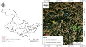 Location of the study area and distribution of sampling plots representing different plant associations in the subalpine wetlands of Fenghuangshan, Heilongjiang Province.