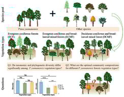 Conceptual hypothesis diagram illustrating species composition, diversity differences, and optimal community configuration across three Pinus yunnanensis vegetation types. Note: * indicates a significant difference, ** indicates a highly significant difference, *** indicates an extremely significant difference, and NS indicates no significant difference.