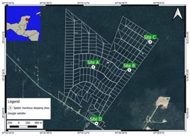 Map of Los Arboles Tulum, Tulum, Mexico, with the grid of the 2 ha lots and the four Geoffroy’s spider monkey sleeping sites where TIR drone flights were carried out. Sites A, B, C, and D indicate the name of each sleeping site.