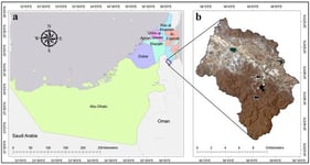 Wadi Hatta Watershed (a) location map; (b) satellite image.