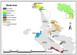 Study area. Bahía Ballena, Ojochal, Sierpe, and Bahía Drake belong to the municipality of Osa. Tourism activity in these locations is directly or indirectly linked to nearby protected natural areas, including Marino Ballena National Park, the Térraba–Sierpe National Wetland, Caño Island Biological Reserve, Golfo Dulce, and Corcovado National Park.