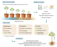 Mean daily values of air temperature and relative humidity recorded during the experimental period.
