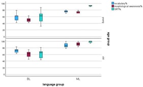 Vocabulary, morphological awareness, and SRep accuracy (%) by language group (BL, ML) and age group (young, old).
