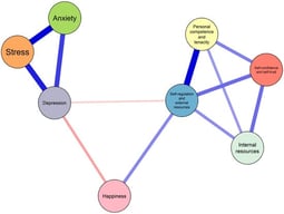 Network structure of anxiety, stress, depression, resilience, and happiness in adolescents estimated using a non-regularized Gaussian Graphical Model (GGM). Blue edges indicate positive associations, and red edges indicate negative associations; edge thickness represents the magnitude of the association. Node size is not scaled to centrality but is presented for visual clarity only.