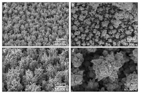 Focused Ion Beam–Scanning Electron Microscopy (FIB-SEM) images of the platinum nanoflower (PtNF) electrodes at different magnifications. Images (a,c) were acquired at 52° tilt and (b,d) at 0° tilt, showing nanostructure morphology.
