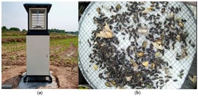 The automatic mechatronic device for insect image collection: (a) An insect monitoring light trap; (b) The image captured by the device (Source: The image is sourced from the dataset published by Wang et al. [26]).