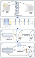 Schematic illustration of the linear transformation from the input space to the feature space, where the transformation matrix is represented by the filter matrix, highlighting redundancy induced by correlated filters. The four modules from top to bottom correspond to Step 1: a schematic illustration of the convolution operation in a single convolutional layer, Step 2: reformulating the convolution computation as matrix multiplication, Step 3: constructing a linear transformation by reshaping filters into row vectors, and Step 4: redundancy induced by correlated filters in the resulting transformation.