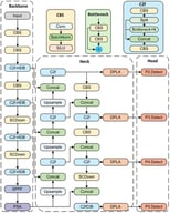 The structure of YOLO-DMA.