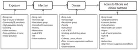 Conceptual framework summarizing selected social and economic factors discussed in the literature in relation to different stages of TB vulnerability and care. The figure is illustrative and does not represent empirical findings from the present analysis. Abbreviations: TB, tuberculosis; BCG, Bacillus Calmette–Guérin; HIV, human immunodeficiency virus; MDR-TB, multidrug-resistant tuberculosis.