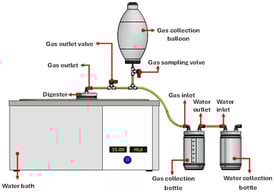 Schematic view of the experimental setup.