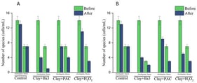Comparison of phytoplankton community structure and taxonomic richness before and after treatment. Data are categorized into (A) high-density algal enrichment groups and (B) low-density unenriched groups. Values represent the number of species (genera) detected across two phyla: Dinoflagellate and Diatom.