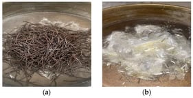 Fiber appearance. (a) SF; and (b) PPF.