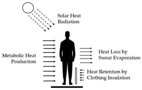 Firefighter heat exchange during exposure to increased metabolic heat and solar IR radiation. Body heat dissipation occurs primarily through sweat evaporation since protective clothing limits air flow over the skin and, therefore, limits heat loss through convection.