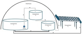 Illustrative representation of the IMTA system. Compartment 1: Shrimp tank; Compartment 2: Mullet tank; Compartment 3: Oyster and Sea cucumber tank; and Compartment 4: Salicornia hydroponic bench.