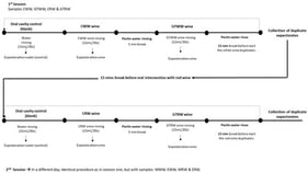 Schematic representation of the SOOM procedure. Dot lines means that the same procedure was applied for the duplicated samples.