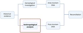 DVI workflow. The development of the anthropological investigation described in the present study is shown in the red box.