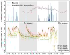 Rainfall, average daily temperature, and volumetric soil water content (%) at 20 cm, 60 cm, and 100 cm depths. Bars indicate standard errors of means (n = 3). Data on temperature from July to November 2018 and soil moisture from December 2019 were missing.