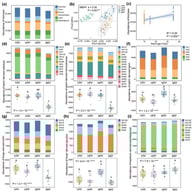 Dynamics of CAZyme genes involved in dead biomass decomposition during plantation development. (a) Relative abundance of CAZyme gene associated with plant- and microbial-derived biomass decomposition. (b) Principal coordinate analysis (PCoA) of CAZyme gene composition for dead biomass decomposition based on Bray–Curtis distances. (c) Linear regression of CAZyme gene abundances for dead biomass decomposition against stand age. CAZyme gene abundances for (d) plant-derived cellulose decomposition, (e) plant-derived hemicellulose decomposition, (f) plant-derived lignin decomposition, (g) fungi-derived chitin decomposition, (h) fungi-derived glucans decomposition, and (i) bacteria-derived peptidoglycan decomposition across sites. Different lowercase letters denote significant differences between groups (p < 0.05). **, p < 0.01; ***, p < 0.001; ****, p < 0.0001.
