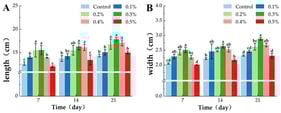 Effects of foliar-applied triple superphosphate on length and width of new leaves of Neosinocalamus affinis. (A). leaf length. (B). leaf width. Different lowercase letters indicate significant differences (p < 0.05) across fertilization concentrations. Data are means ± SD (n = 3 biological replicates; technical replicates averaged within each), and the same measurement protocol was consistently applied in all subsequent figures.
