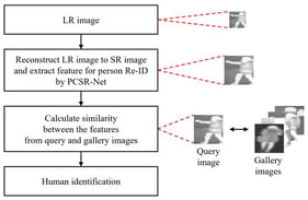 Overall workflow of the proposed method.