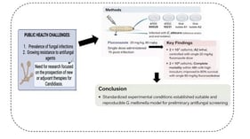 Illustration of the larval viability assessment process after fungal infection. Black arrows indicate the sequence of events, whereas blue arrows indicate larvae movement.