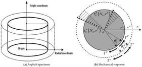 Schematic diagrams of asphalt specimen and its mechanical response during cyclic loading process.