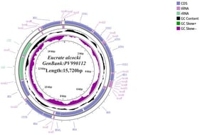 Complete mitogenome map of E. alcocki.