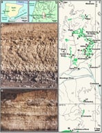 Location and geological context of the studied area. (a)—General location in the Iberian Peninsula (red box). (b)—Location in the Baixo Mondego region of West Portugal (red box). (c)—Overview of the studied area in the eastern ranges of Baixo Mondego, showing the main localities (black circles) and the geological mapping of the Cenomanian–Turonian Trouxemil Fm. (green areas), with indication of the stratigraphic sections with carbonate and mixed facies with Syncyclonema goyi sp. nov. (red stars). 1—Lapa, 2—Mala, 3—Marmeleira do Botão, 4—Pisão, 5—Barcouço, 6—Sargento-Mor, 7—Salgueirosa (Trouxemil), 8—Adões, 9—Senhora das Neves, 10—Rios Frios, 11—Quinta do Belregão, 12—Espigão 1, 13—Cioga do Monte, 14—Espigão 2, 15—Fonte da Areia (Ançã), 16—Geria, 17—Antanhol, 18—Condeixa-a-Nova. (d)—Upper member of the Trouxemil Fm. (upper Cenomanian units with facies of nodular marly limestone) in the section of Fonte da Areia (Ançã), the type locality of Syncyclonema goyi sp. nov. (e)—Lower part of the same section (basal upper Cenomanian units with facies of sandy marl and nodular marly limestones and massive whitish limestone).